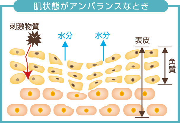 ATPリピッドゲルの皮膚洗浄