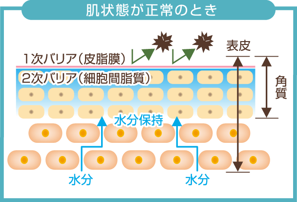 ATPリピッドゲルの保湿力