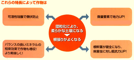 阿寒の恵の特長