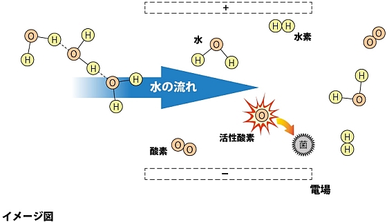モールドウォーターのメカニズム