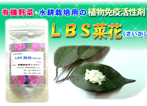 LBS菜花