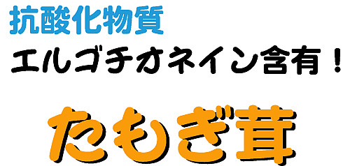 たもぎ茸